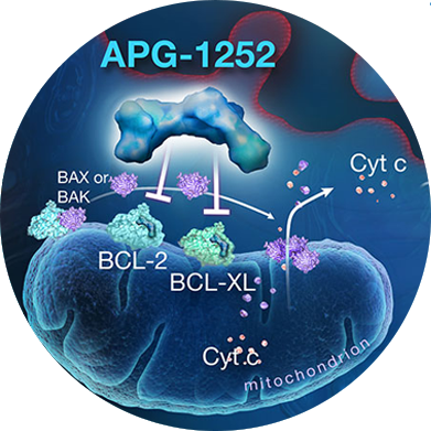 BCL2